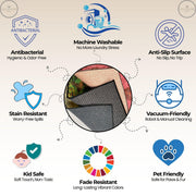 Autumn Leaves Area Rug with Black Background, Fall Foliage Carpet for Living Room, Modern Seasonal Floral Pattern, Dark Botanical Carpet